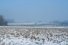 MoorselseWinter.jpg